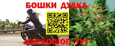эйфоретик Сланцы