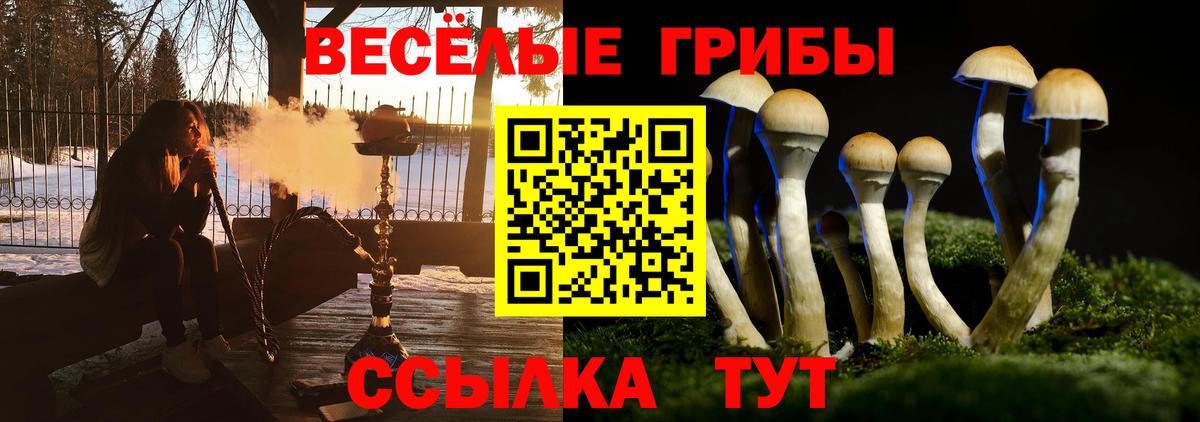 Псилоцибиновые грибы MAGIC MUSHROOMS Орехово-Зуево